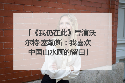 《我仍在此》导演沃尔特·塞勒斯：我喜欢中国山水画的留白