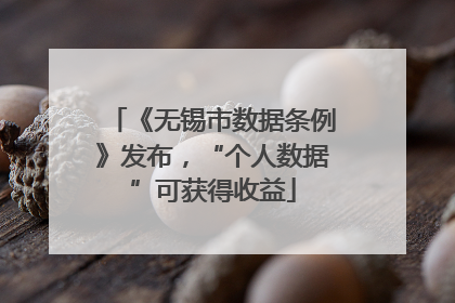 《无锡市数据条例》发布，“个人数据”可获得收益