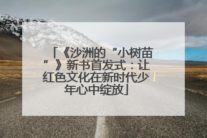 《沙洲的“小树苗”》新书首发式：让红色文化在新时代少年心中绽放