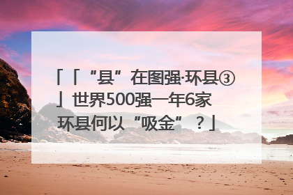 「“县”在图强·环县③」世界500强一年6家 环县何以“吸金”？