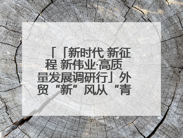 「新时代 新征程 新伟业·高质量发展调研行」外贸“新”风从“青”来 “双向奔赴”启新程