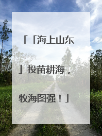 「海上山东」投苗耕海，牧海图强！