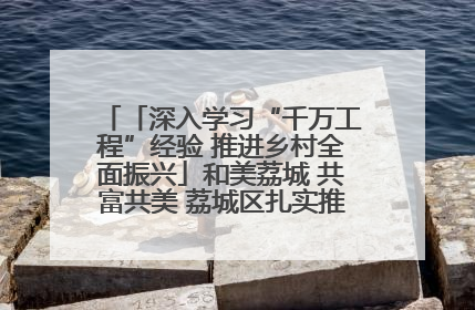 「深入学习“千万工程”经验 推进乡村全面振兴」和美荔城 共富共美 荔城区扎实推进乡村振兴工作