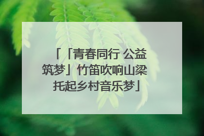 「青春同行 公益筑梦」竹笛吹响山梁 托起乡村音乐梦