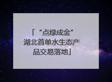 “点绿成金” 湖北首单水生态产品交易落地