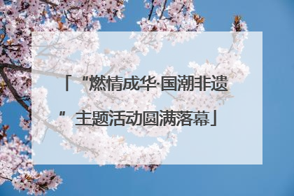 “燃情成华·国潮非遗”主题活动圆满落幕