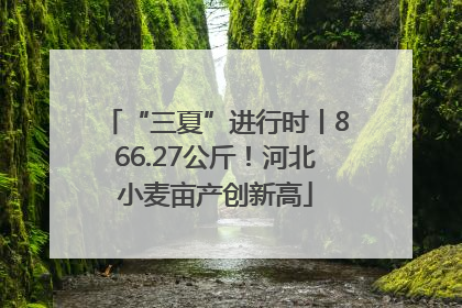 “三夏”进行时丨866.27公斤！河北小麦亩产创新高