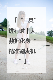 “三夏”进行时｜大数据化身“精准割麦机”