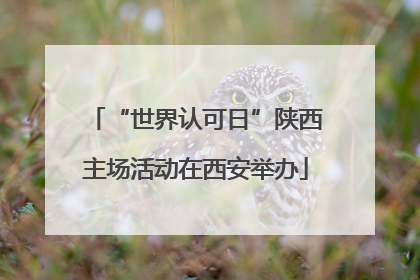 “世界认可日”陕西主场活动在西安举办