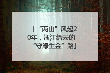 “两山”风起20年，浙江缙云的“守绿生金”路