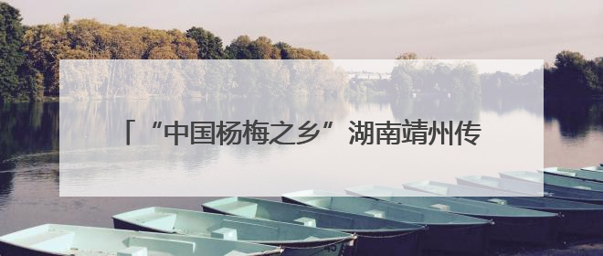 “中国杨梅之乡”湖南靖州传统与新引品种共绽“梅”好