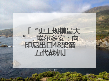 “史上规模最大”，埃尔多安：向印尼出口48架第五代战机