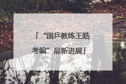 “国乒教练王皓考编”最新进展