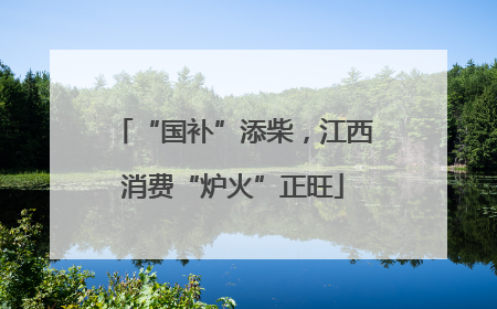 “国补”添柴，江西消费“炉火”正旺