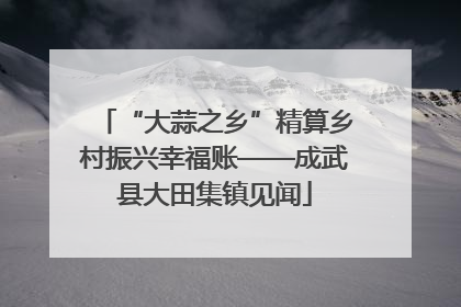 “大蒜之乡”精算乡村振兴幸福账——成武县大田集镇见闻