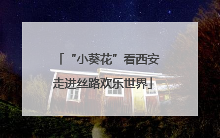 “小葵花”看西安走进丝路欢乐世界