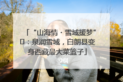 “山海情・雪域援梦”⑪：泉润雪域，白朗县变身西藏最大菜篮子