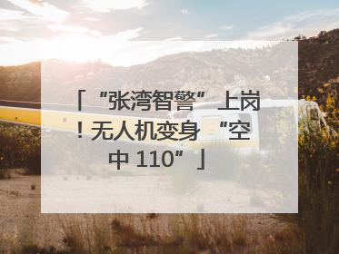 “张湾智警”上岗！无人机变身 “空中 110”