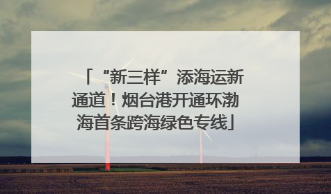 “新三样”添海运新通道！烟台港开通环渤海首条跨海绿色专线
