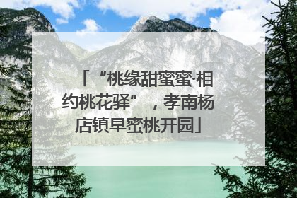 “桃缘甜蜜蜜·相约桃花驿”，孝南杨店镇早蜜桃开园