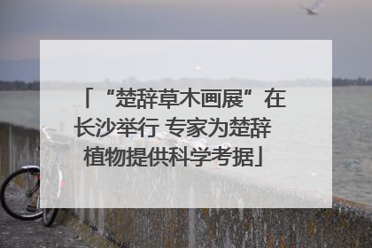 “楚辞草木画展”在长沙举行 专家为楚辞植物提供科学考据