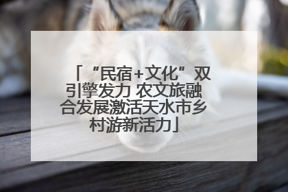 “民宿+文化”双引擎发力 农文旅融合发展激活天水市乡村游新活力