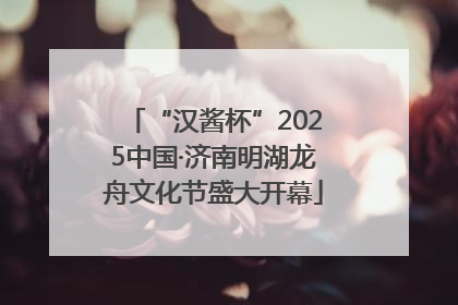 “汉酱杯”2025中国·济南明湖龙舟文化节盛大开幕