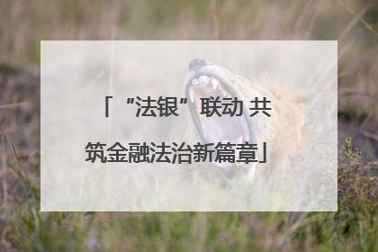 “法银”联动 共筑金融法治新篇章
