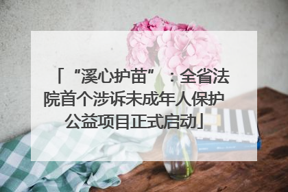 “溪心护苗”：全省法院首个涉诉未成年人保护公益项目正式启动