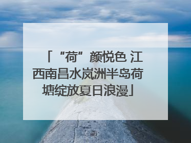“荷”颜悦色 江西南昌水岚洲半岛荷塘绽放夏日浪漫