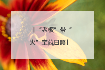 “老板”带“火”宝藏日照