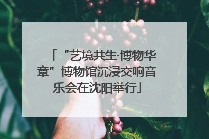 “艺境共生·博物华章”博物馆沉浸交响音乐会在沈阳举行