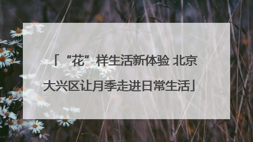 “花”样生活新体验 北京大兴区让月季走进日常生活