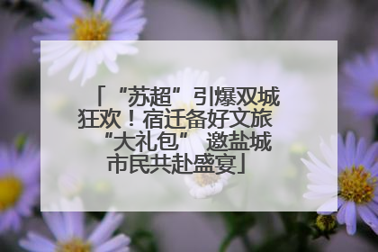 “苏超”引爆双城狂欢！宿迁备好文旅“大礼包” 邀盐城市民共赴盛宴