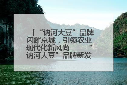 “讷河大豆”品牌闪耀京城，引领农业现代化新风尚——“讷河大豆”品牌新发地推介会圆满落幕