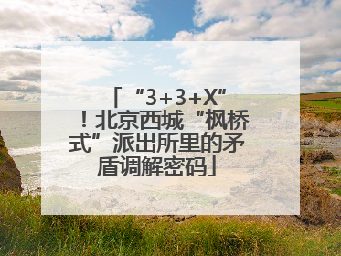 “3+3+X”！北京西城“枫桥式”派出所里的矛盾调解密码