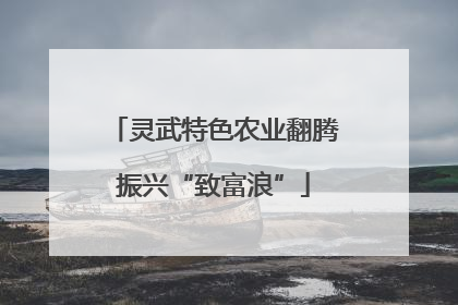 灵武特色农业翻腾振兴“致富浪”