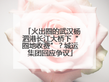 火出圈的武汉杨泗港长江大桥下“圈地收费”？城运集团回应争议