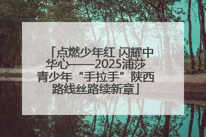点燃少年红 闪耀中华心——2025浦莎青少年“手拉手”陕西路线丝路续新章