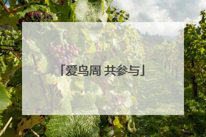 爱鸟周 共参与