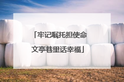 牢记嘱托担使命 文亭巷里话幸福