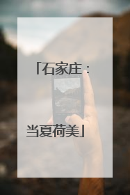 石家庄：当夏荷美