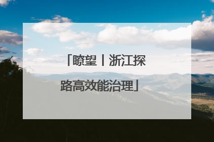瞭望丨浙江探路高效能治理