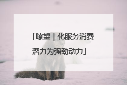 瞭望｜化服务消费潜力为强劲动力