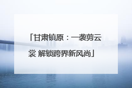 甘肃镇原：一袭剪云裳 解锁跨界新风尚