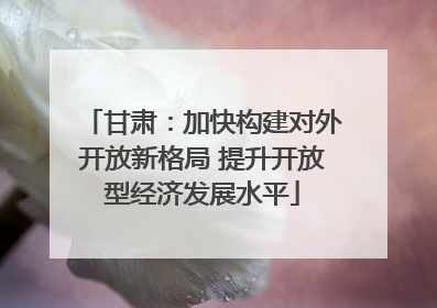 甘肃：加快构建对外开放新格局 提升开放型经济发展水平