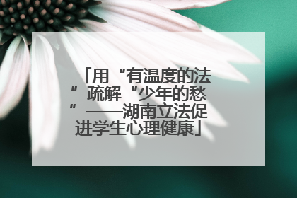 用“有温度的法”疏解“少年的愁”——湖南立法促进学生心理健康