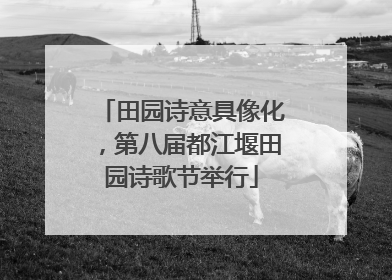 田园诗意具像化，第八届都江堰田园诗歌节举行