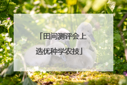 田间测评会上选优种学农技