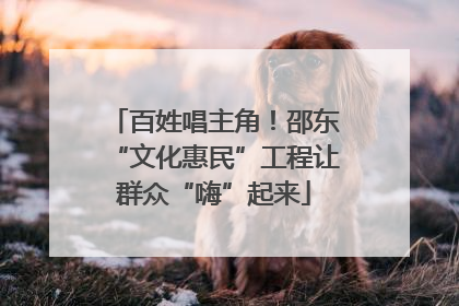 百姓唱主角！邵东“文化惠民”工程让群众“嗨”起来